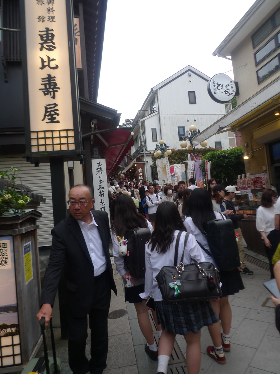 Nikkō, préfecture de Tochigi, Japon, 2025